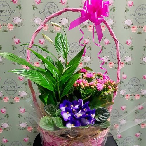 WhatsApp Image 2024 01 26 at 20.14.04