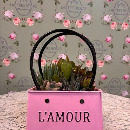 WhatsApp Image 2026 04 18 at 11.30.08 (1)