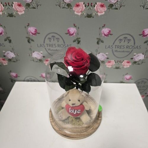 WhatsApp Image 2025 01 23 at 19.12.10