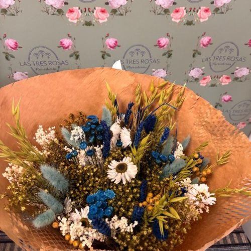 whatsapp image 2026 04 17 at 13 15 09