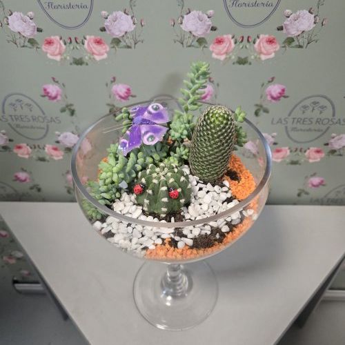 whatsapp image 2025 12 29 at 12 17 14