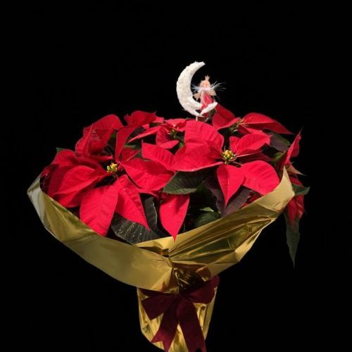 WhatsApp Image 2025 11 21 at 11.07.14