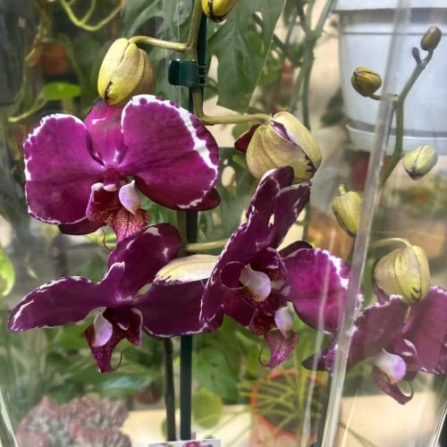 whatsapp image 2025 09 26 at 14 41 02