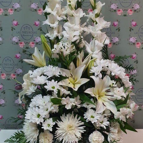 WhatsApp Image 2020 10 08 at 11