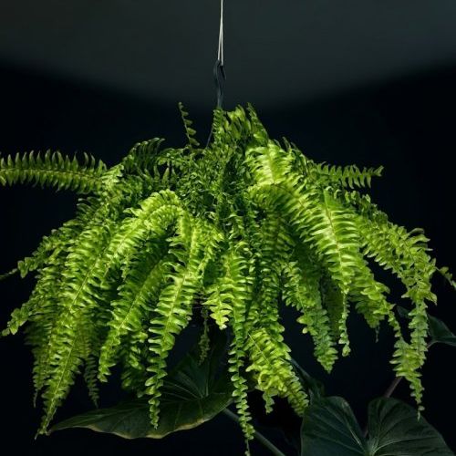 3eacaac6 fd2e 48da a40a 4c74a915a2b4