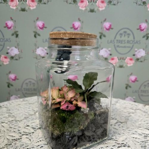 WhatsApp Image 2026 04 17 at 19.17.05