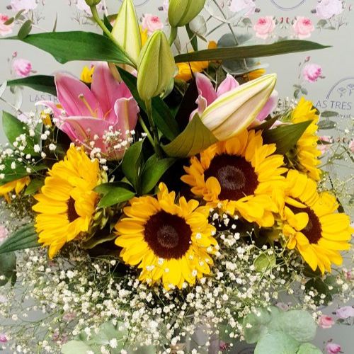 WhatsApp Image 2024 07 09 at 17.17.36