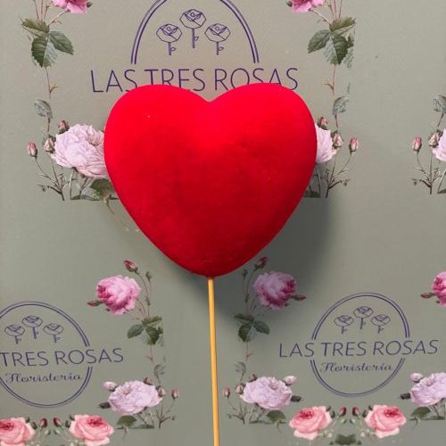 whatsapp image 2026 01 10 at 10 49 19 1