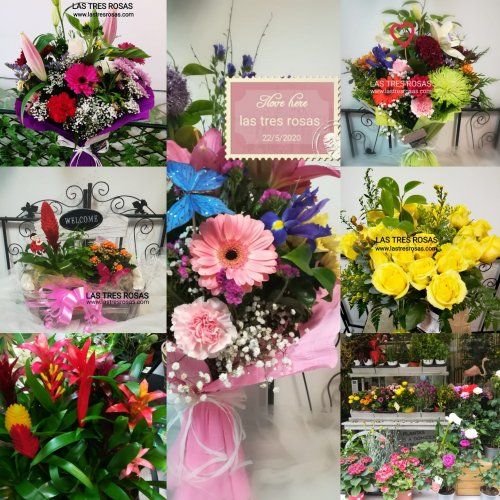 WhatsApp Image 2020 05 23 at 10.11.26