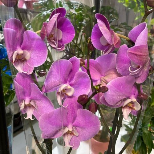 whatsapp image 2025 09 26 at 14 41 02 1