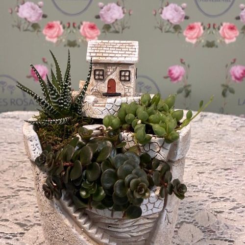 WhatsApp Image 2026 04 18 at 11.40.44 (1)