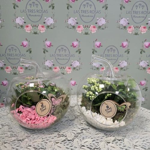 WhatsApp Image 2026 04 17 at 19.23.56 (1)