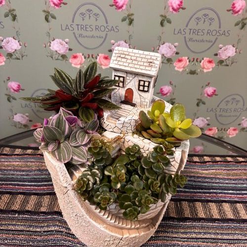 WhatsApp Image 2026 03 05 at 10.17.58 (1)