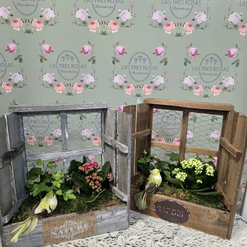 whatsapp image 2026 04 17 at 19 48 21