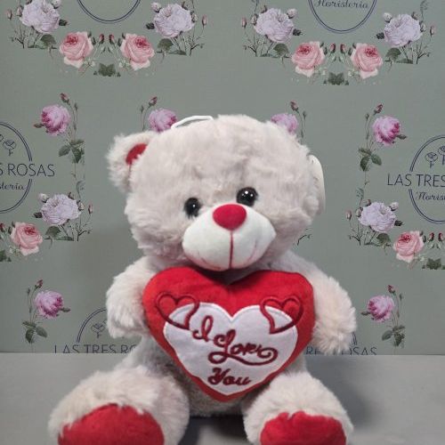 whatsapp image 2026 01 31 at 10 28 26 2