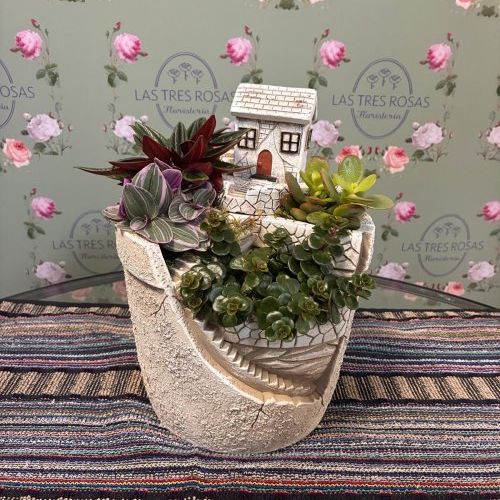 whatsapp image 2026 03 05 at 10 17 58