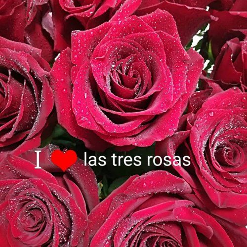 EN ESTA SECCI&Oacute;N ENCONTRARAS LOS MAS BELLOS DETALLES PARA ESE DIA TAN ESPECIAL.&nbsp;RESERVE AQUI SOLO. PARA COMPRAS&nbsp; EL DIA 14 DE FEBRERO.